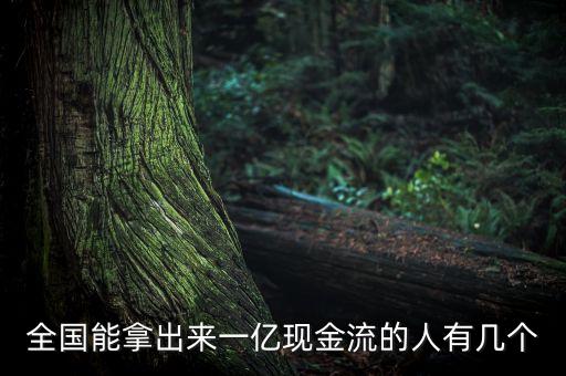 全國能拿出來一億現金流的人有幾個