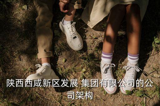 陜西西咸新區發展 集團有限公司的公司架構