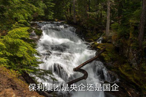 中國保利通信控股,保利通信控股 海內環能