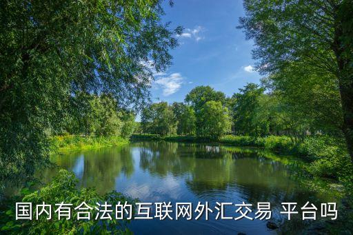 國內有合法的互聯網外匯交易 平臺嗎