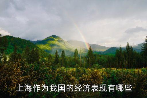  上海作為我國的經濟表現有哪些
