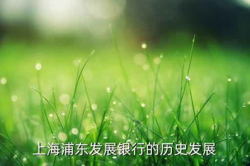 浦發銀行行長傅建華