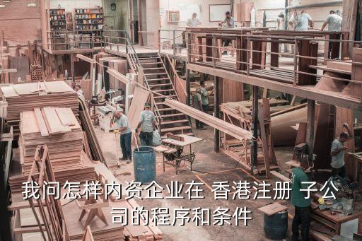 我問怎樣內資企業在 香港注冊 子公司的程序和條件