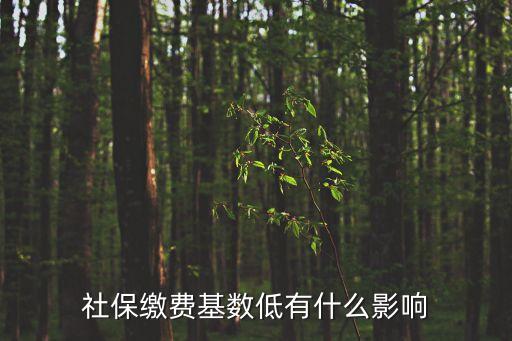 社保繳費基數低有什么影響