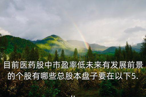 目前醫藥股中市盈率低未來有發展前景的個股有哪些總股本盤子要在以下5...