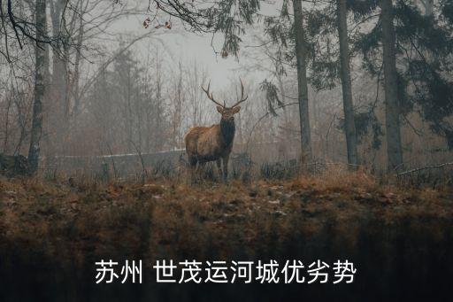 世茂影院投資發展有限公司,世茂行(青州)投資有限公司