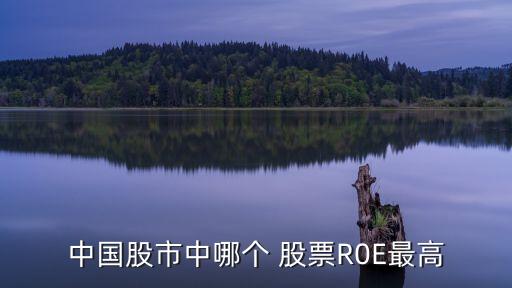 韶鋼松山股票穩嗎,股票韶鋼松山股價