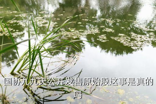 國協九九天公開發售原始股這事是真的嗎