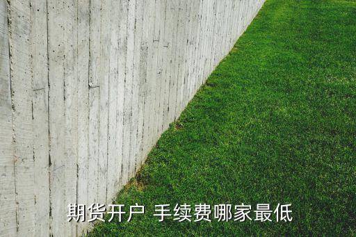 期貨公司手續費對比,國外期貨手續費與國內對比