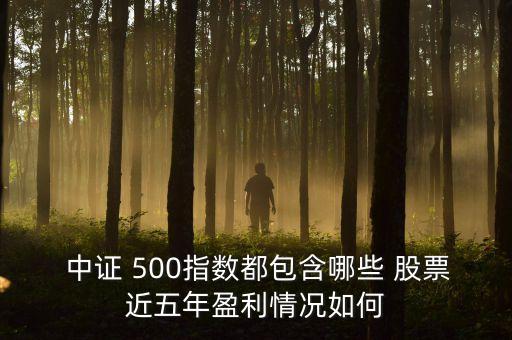  中證 500指數都包含哪些 股票近五年盈利情況如何