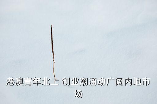 中國三大創業潮