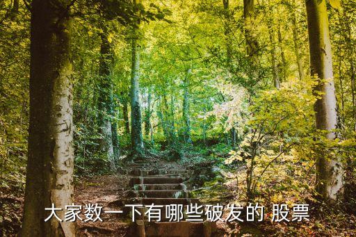 大家數一下有哪些破發的 股票