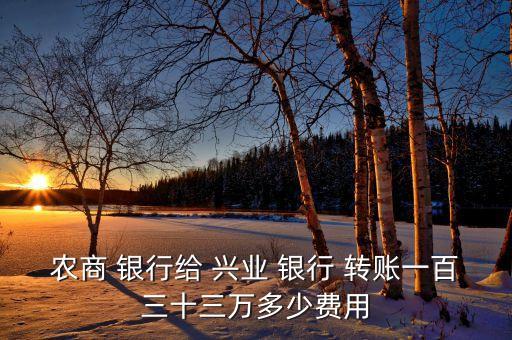 農商 銀行給 興業 銀行 轉賬一百三十三萬多少費用