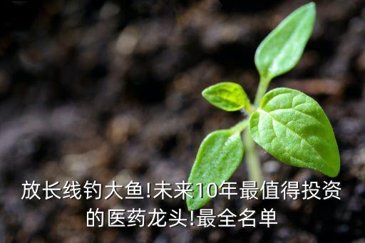 放長線釣大魚!未來10年最值得投資的醫藥龍頭!最全名單