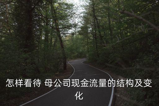 怎樣看待 母公司現金流量的結構及變化