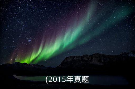 2015年投資業務