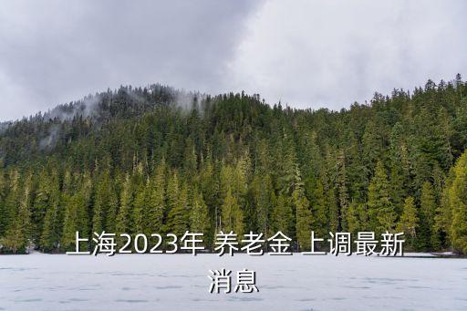 上海2023年 養老金 上調最新消息
