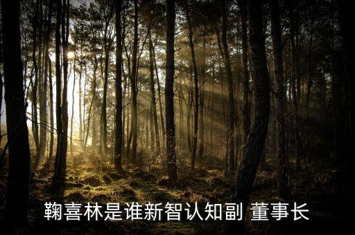 桐鄉新澳集團董事長