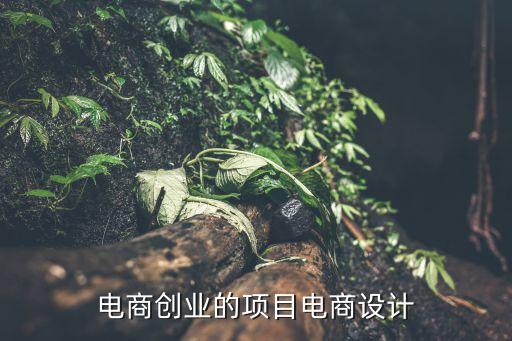 電商創業的項目電商設計