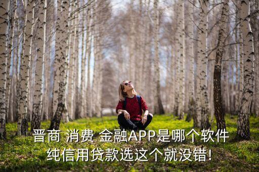  晉商 消費 金融APP是哪個軟件純信用貸款選這個就沒錯!