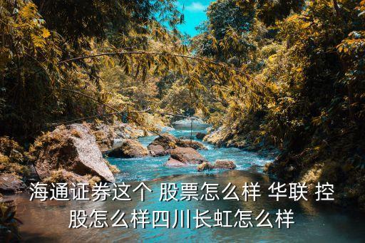 海通證券這個 股票怎么樣 華聯 控股怎么樣四川長虹怎么樣
