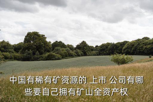 中國有稀有礦資源的 上市 公司有哪些要自己擁有礦山全資產權