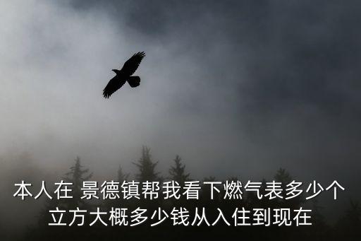 景德鎮賽洛天然氣有限公司,梅川賽洛天然氣有限公司電話