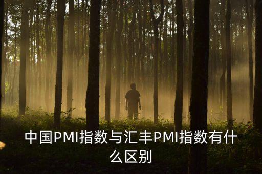 中國PMI指數與匯豐PMI指數有什么區別