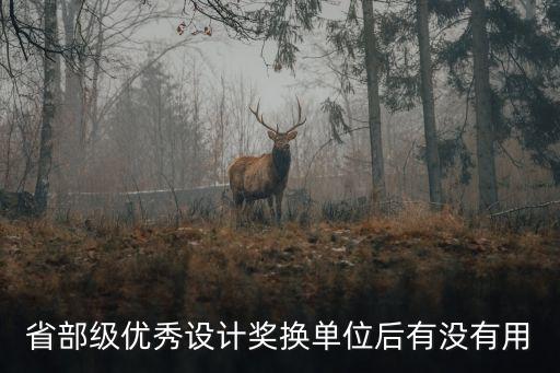 省部級優秀設計獎換單位后有沒有用