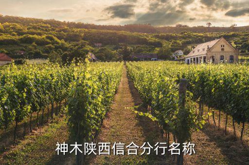 神木農村商業銀行行長