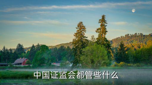 中國股市監督,2023年中國股市