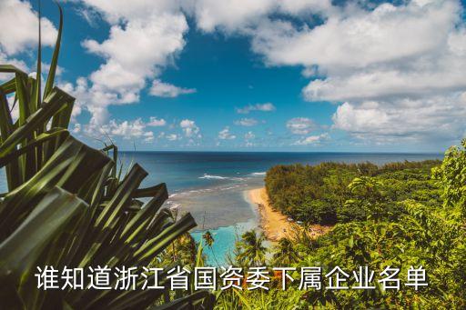 誰知道浙江省國資委下屬企業名單