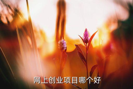  網上創業項目哪個好