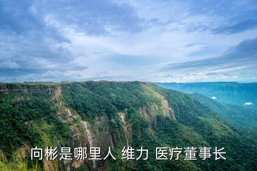 向彬是哪里人 維力 醫療董事長