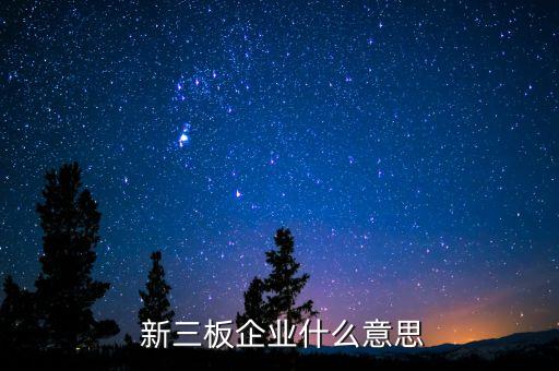  新三板企業什么意思