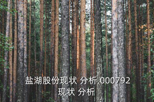 對鹽湖鉀肥公司的資產負債表分析