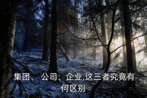  集團、 公司、企業,這三者究竟有何區別