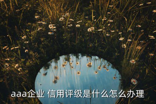 aaa企業 信用評級是什么怎么辦理