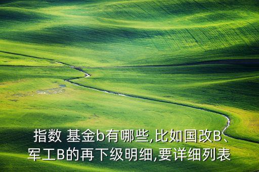  指數 基金b有哪些,比如國改B、軍工B的再下級明細,要詳細列表