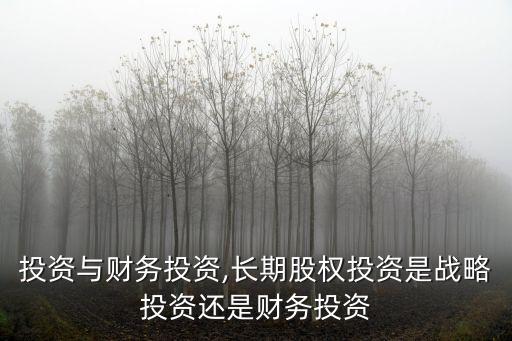 戰略投資與財務投資,長期股權投資是戰略投資還是財務投資