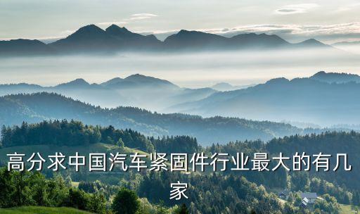 高分求中國汽車緊固件行業最大的有幾家
