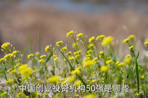 中國創業投資機構50強是哪些