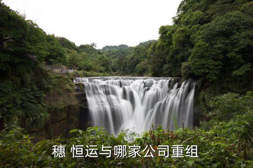 恒運能源集團總資產,廣東省能源集團有限公司總資產