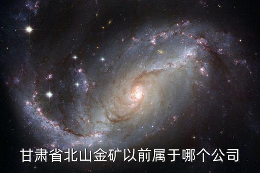 威海金利礦產資源評估有限公司,山東新廣信礦產資源評估有限公司