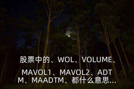  股票中的、WOL、VOLUME、MAVOL1、MAVOL2、ADTM、MAADTM、都什么意思...