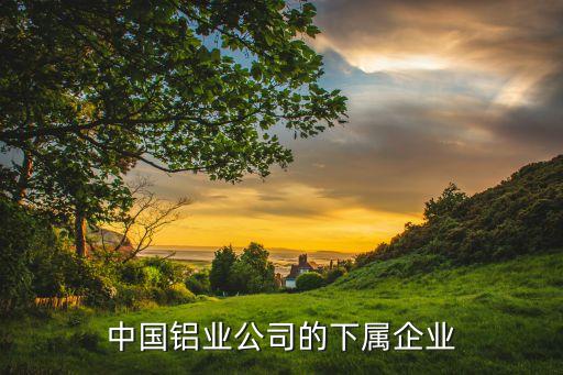 中鋁瑞閩股份有限公司產能規模,張榮旺 中鋁瑞閩股份有限公司