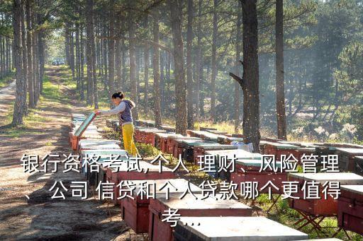 銀行資格考試,個人 理財、風(fēng)險管理、 公司 信貸和個人貸款哪個更值得考...