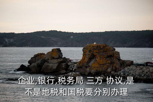 企業,銀行,稅務局 三方 協議,是不是地稅和國稅要分別辦理