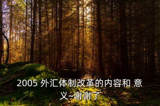 銀行發展外匯業務的意義,銀行外匯業務下一步工作措施