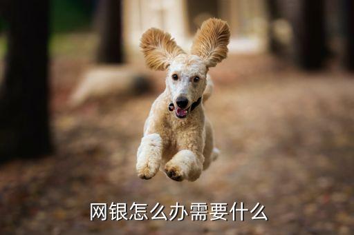  網銀怎么辦需要什么